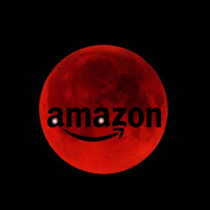 Amazon eine Bedrohung für Online-Shop-Betreiber